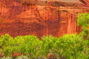 Capitol Reef-0939